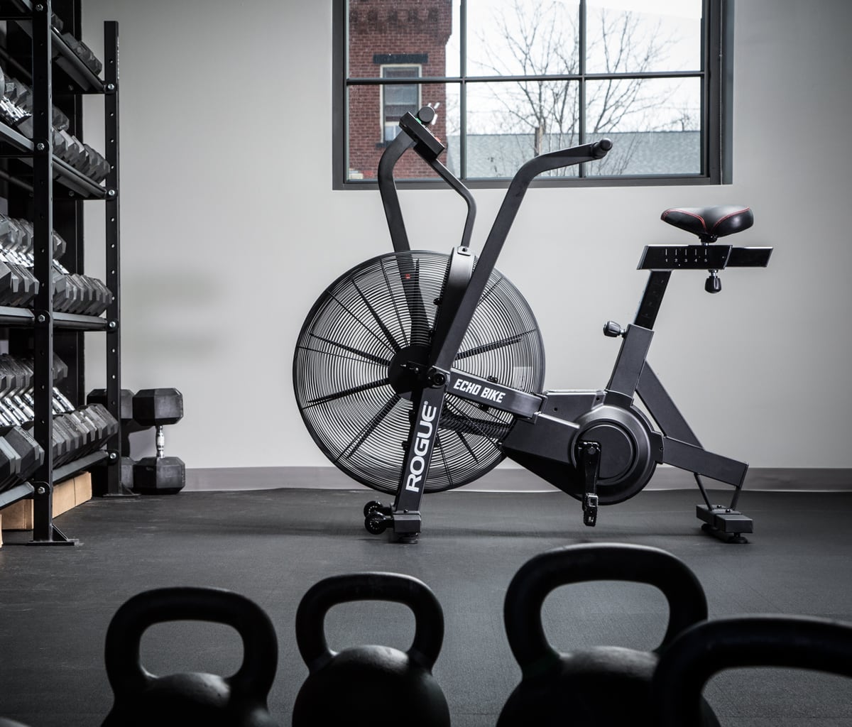 rogue echo bike v3