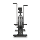 assault airbike