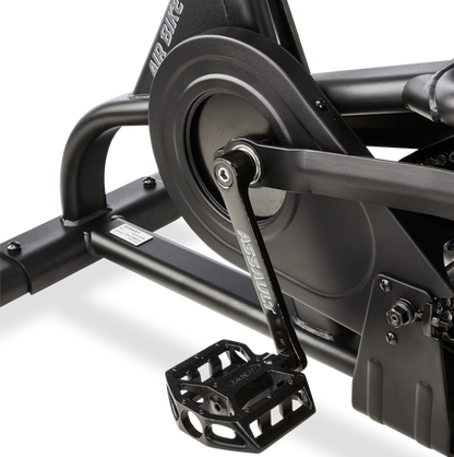 assault airbike