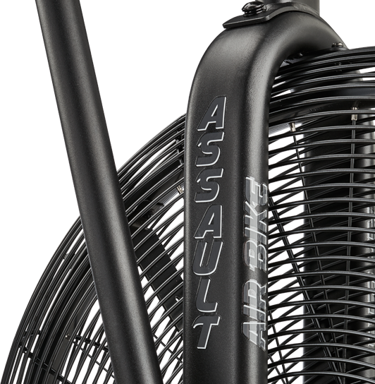 assault airbike